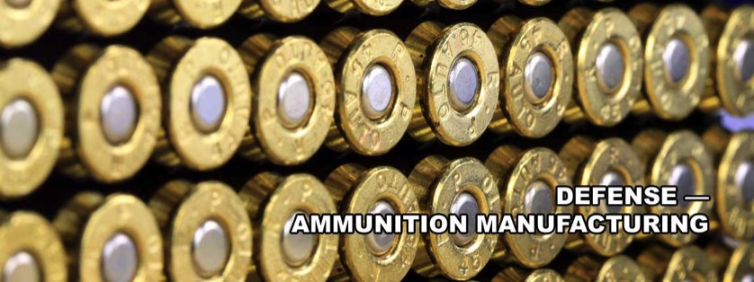 Bullets Casings Pictured from Butt End