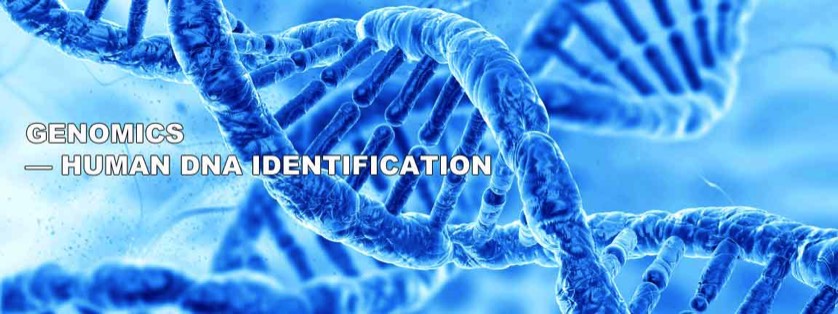 Blue-Stained Microscope Slide of DNA Double Helix
