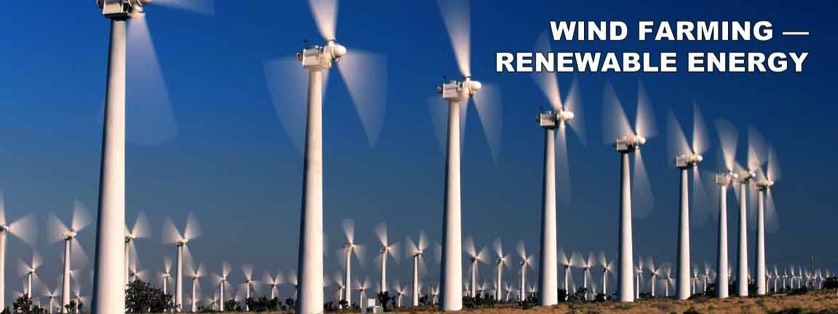 Hundreds of Windmill Turbines in Field